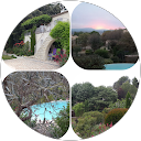Photo de profil de Nicole LIMOUSIN